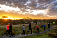 241130 Meijendelloop